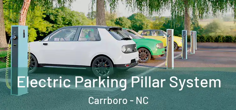 Electric Parking Pillar System Carrboro - NC