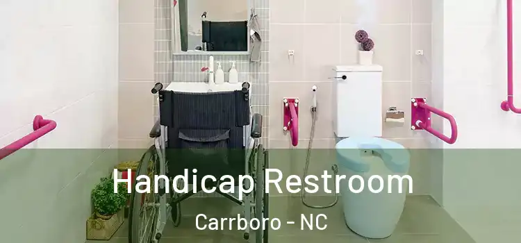 Handicap Restroom Carrboro - NC